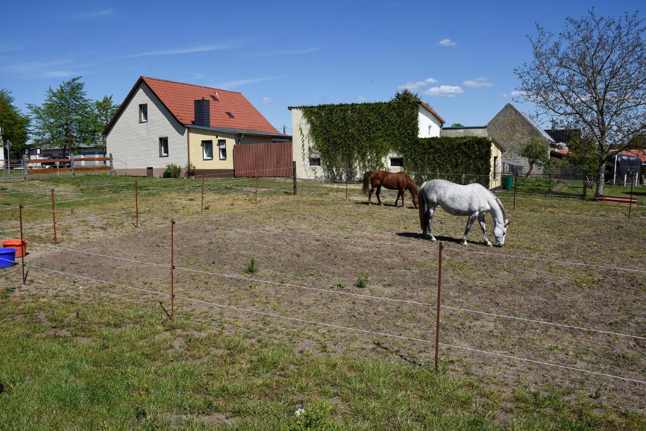 Barrierefreie Ferienwohnung Trueben Bornum Exterior photo