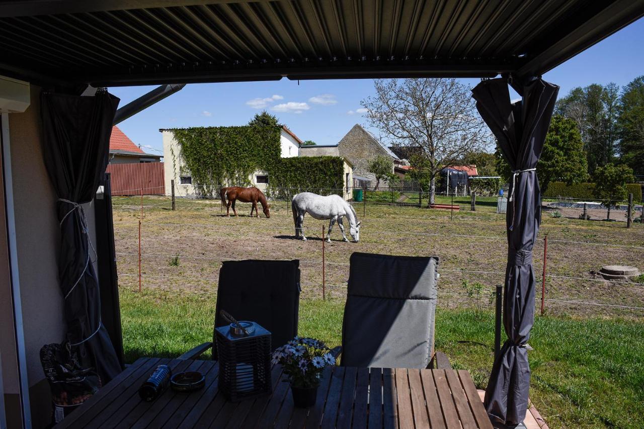 Barrierefreie Ferienwohnung Trueben Bornum Exterior photo